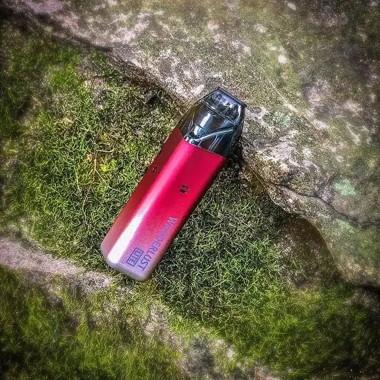 65618354_368254430546383_2032129571197405246_n