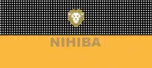 Top Nicotine Pouches in Ajman