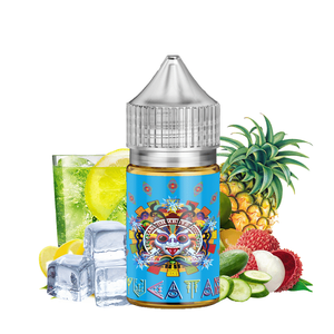 YUCATAN ICE Saltnic - Ohmboyz Drip City